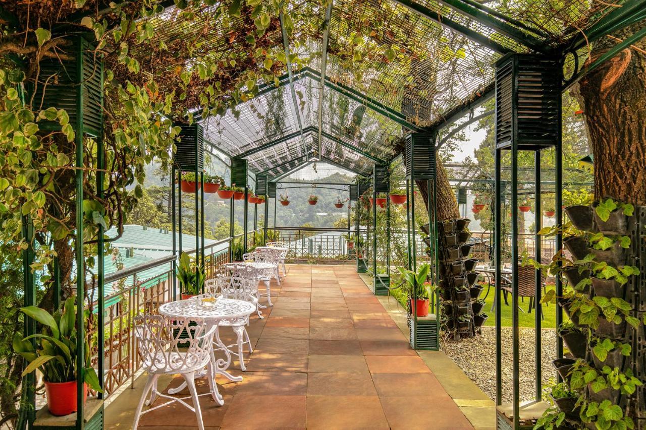 Resort Shervani Hilltop Nainital