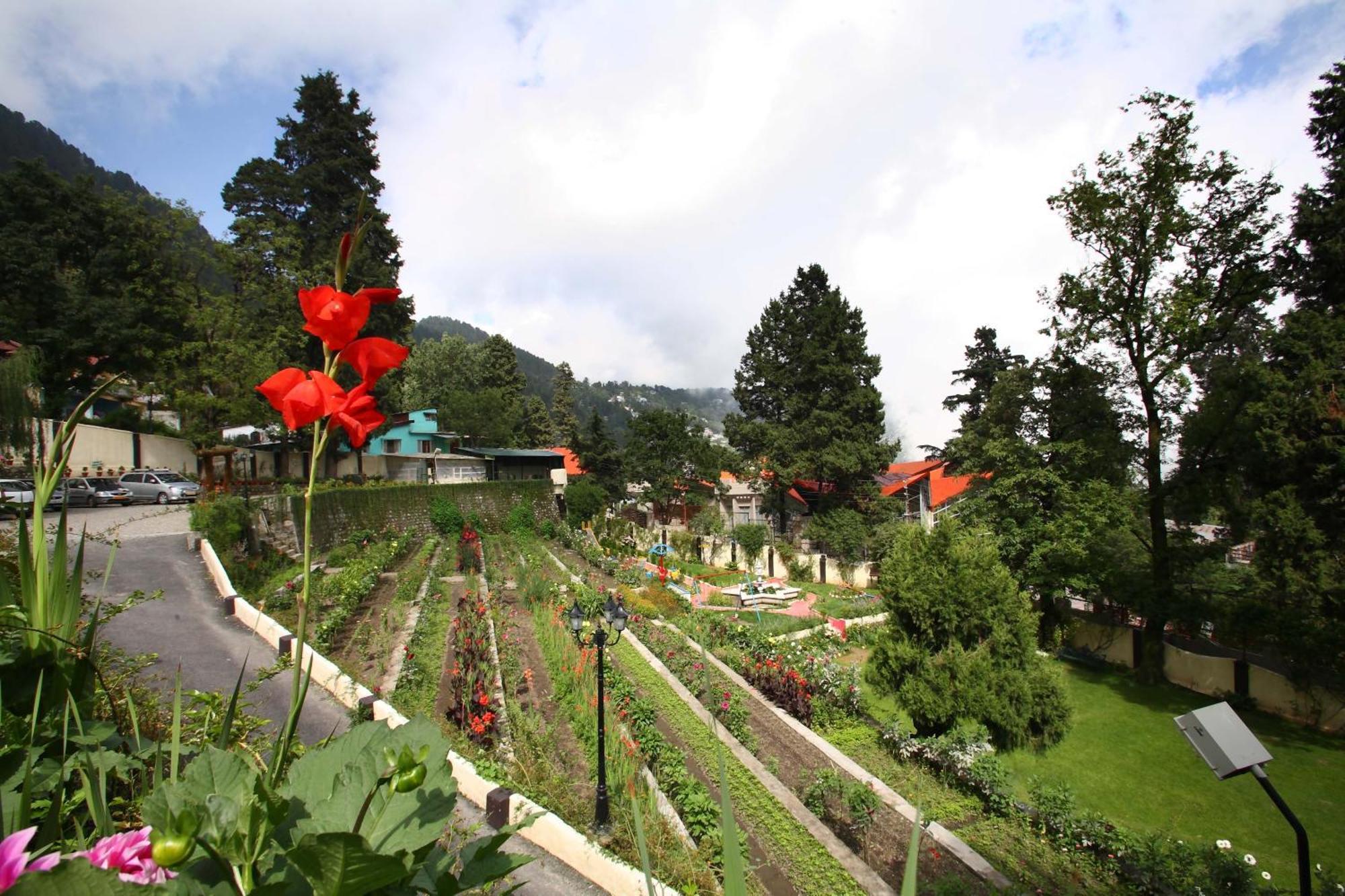 Resort Shervani Hilltop Nainital